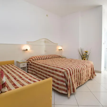 Hotel Metropol فندق 3*